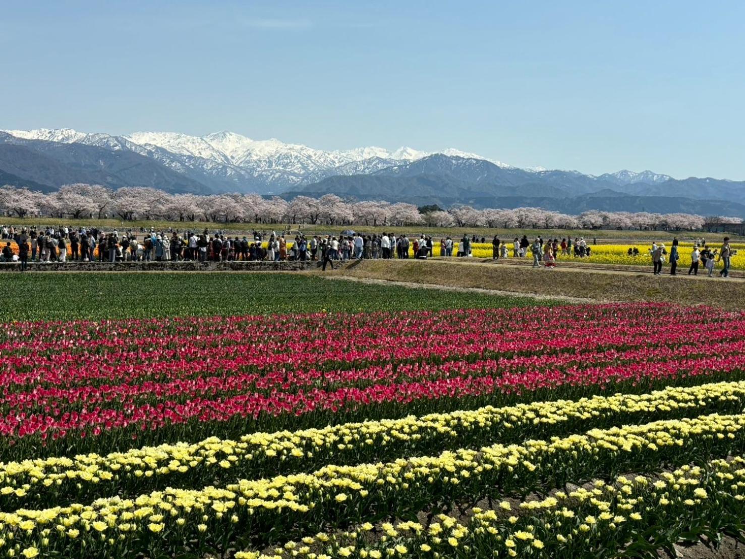 ヨーコのお宿 わくわく Toyama Station Buitenkant foto